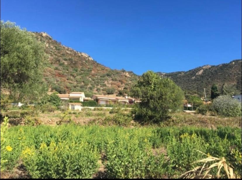 Au Petit Bonheur Vue Mer, Parking, 400M Plage Le Lavandou Bagian luar foto